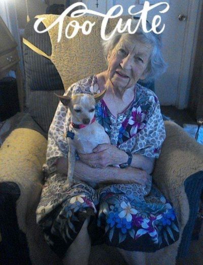 Pets for Adoption at Foothills Animal Shelter, in Golden, CO | Petfinder Pets for Adoption at Foothills Animal Shelter, in Golden, CO | Petfinder