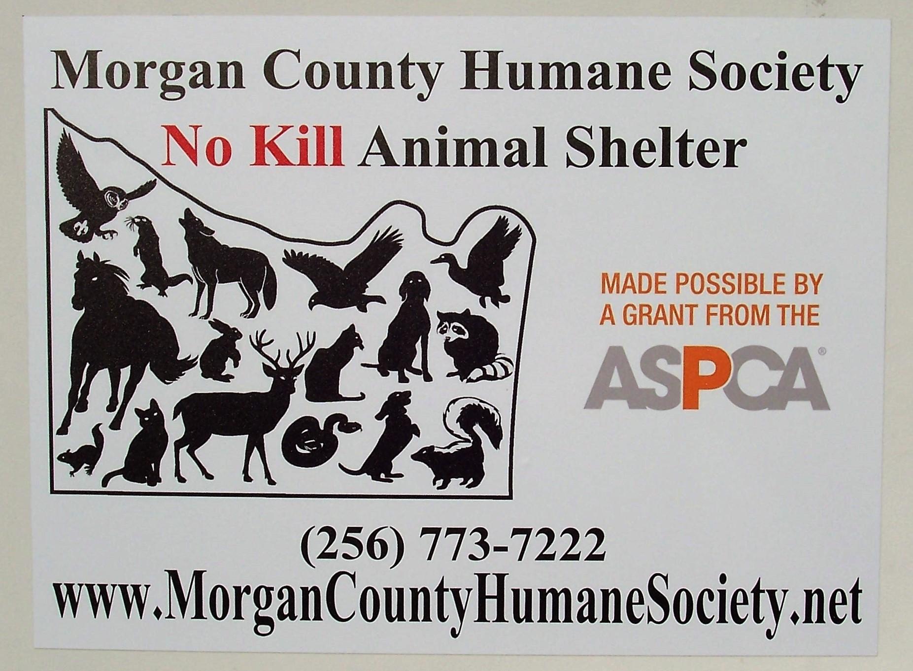 morgan county animal shelter hartselle al