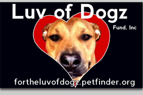 Luv of Dogz Fund, Inc