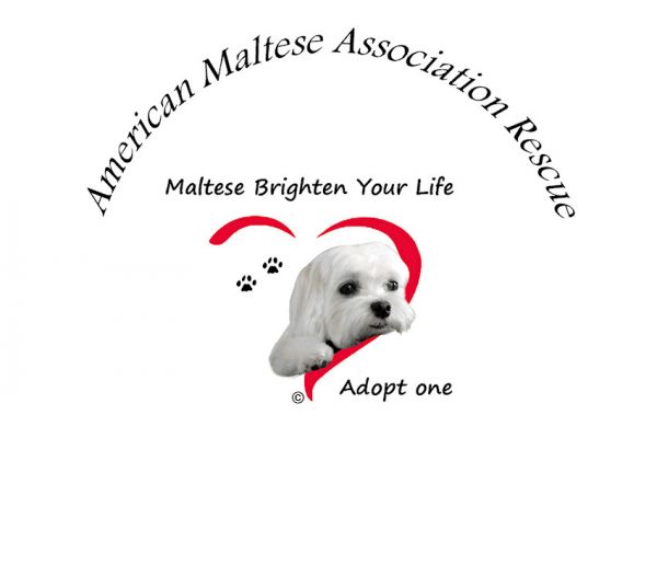 American Maltese Association Rescue