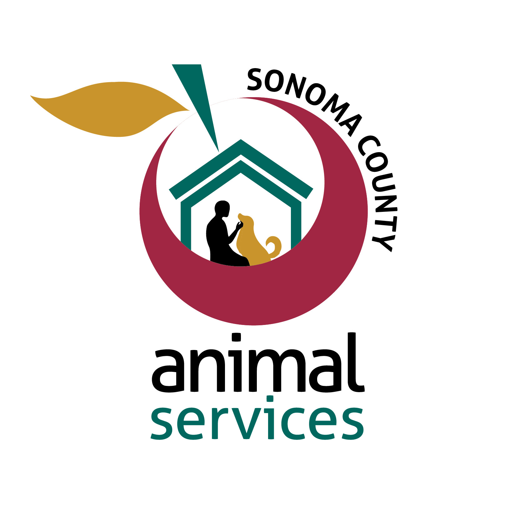 Pets for Adoption at Sonoma County Animal Services, in Santa Rosa, CA ...