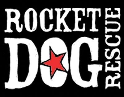 Butter - Rocket Dog Rescue