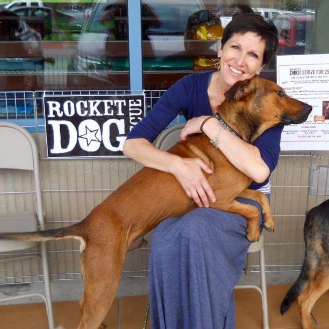 Rocket Dog Rescue