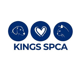 Kings SPCA