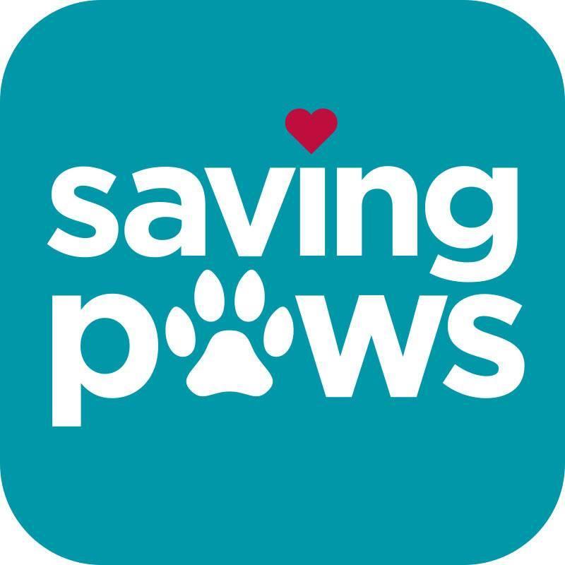 Pets for Adoption at Meriden Animal Control/Saving Paws ...