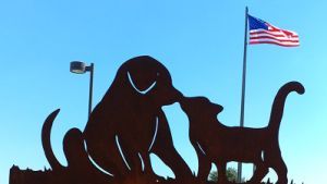 Augusta Animal Services