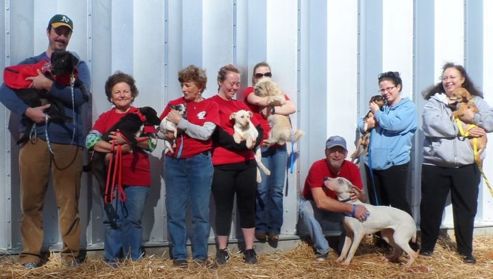 Group Photo at the Heart For Mutts Haven 2016