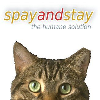 Spay and Stay