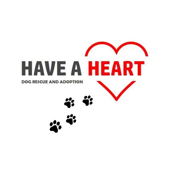 Have A Heart Dog Rescue & Adoption