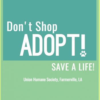 Don't Shop, Adopt!