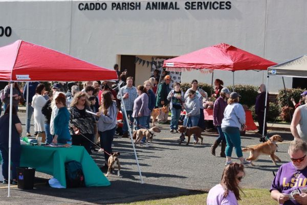 Caddo Parish Animal Services