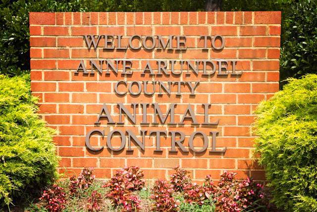 Anne Arundel County Animal Care & Control