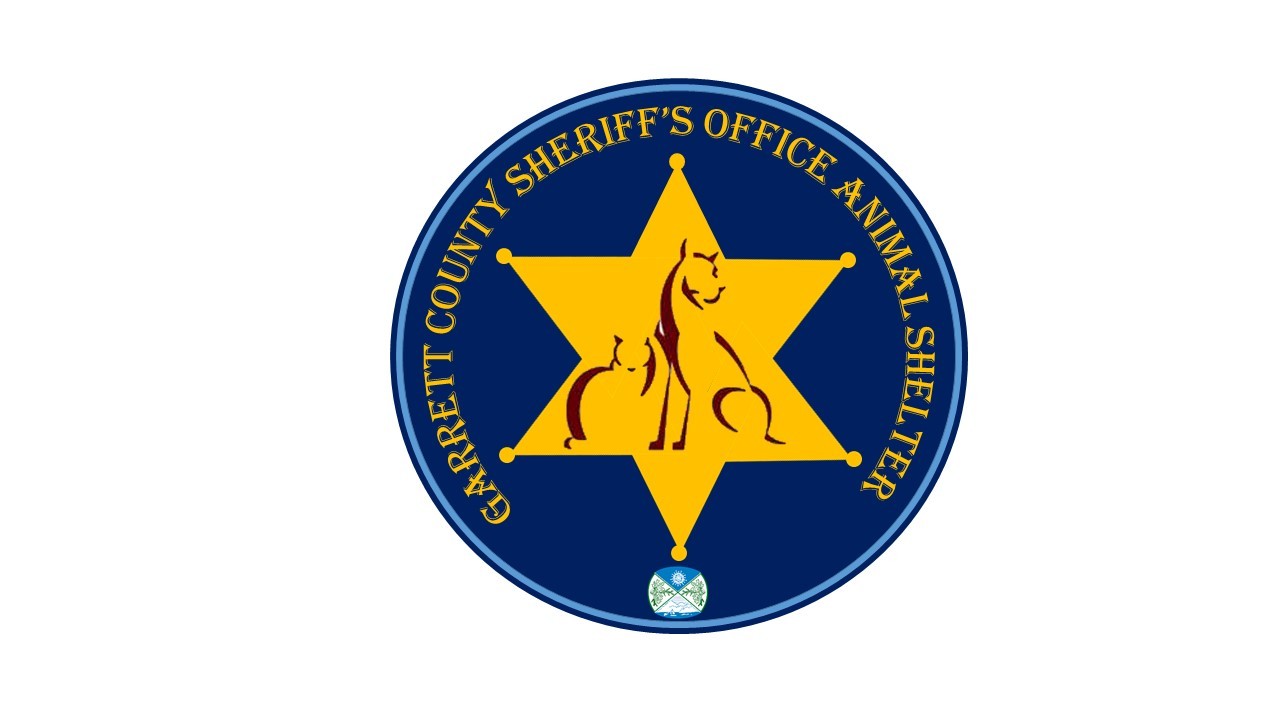 Pets For Adoption At Garrett County Animal Shelter In Oakland Md Petfinder