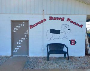 Aurora Dog Pound