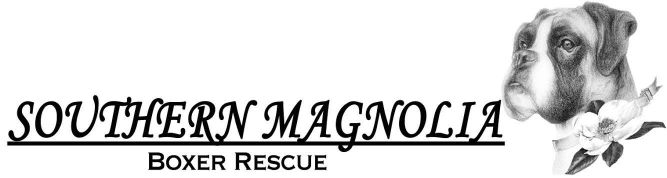 Southern Magnolia Boxer Rescue