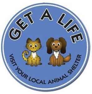 Edgecombe County Animal Shelter