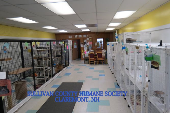 Sullivan County Humane Society