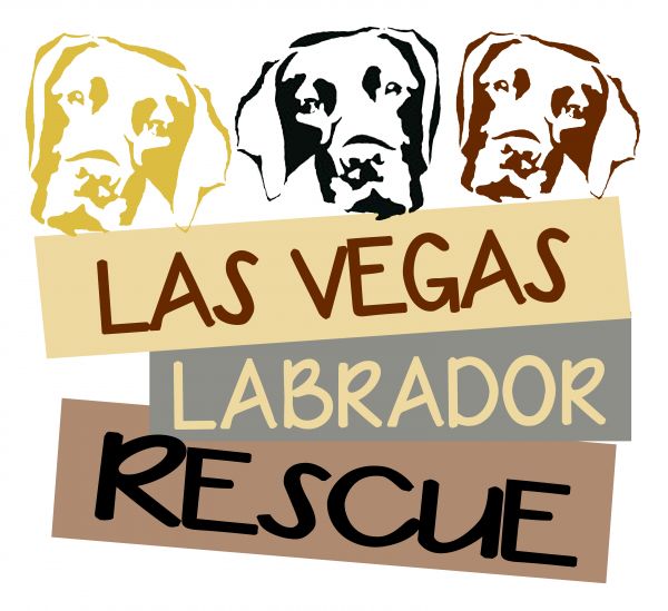 Las Vegas Labrador Rescue