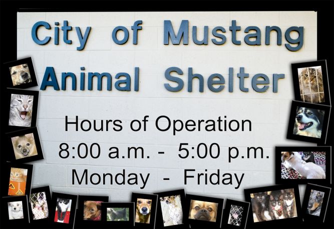 Mustang Animal Welfare Center