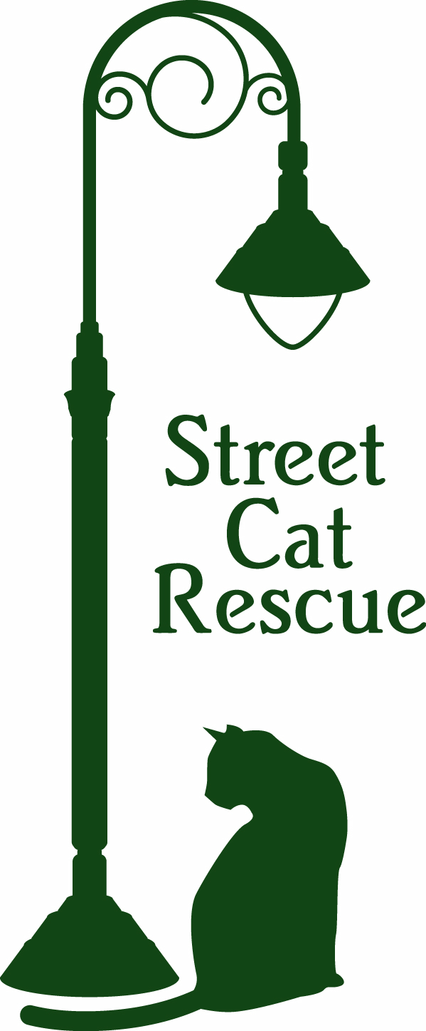 Street Cat Rescue