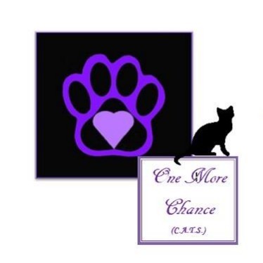 One More Chance CATS/DOGS