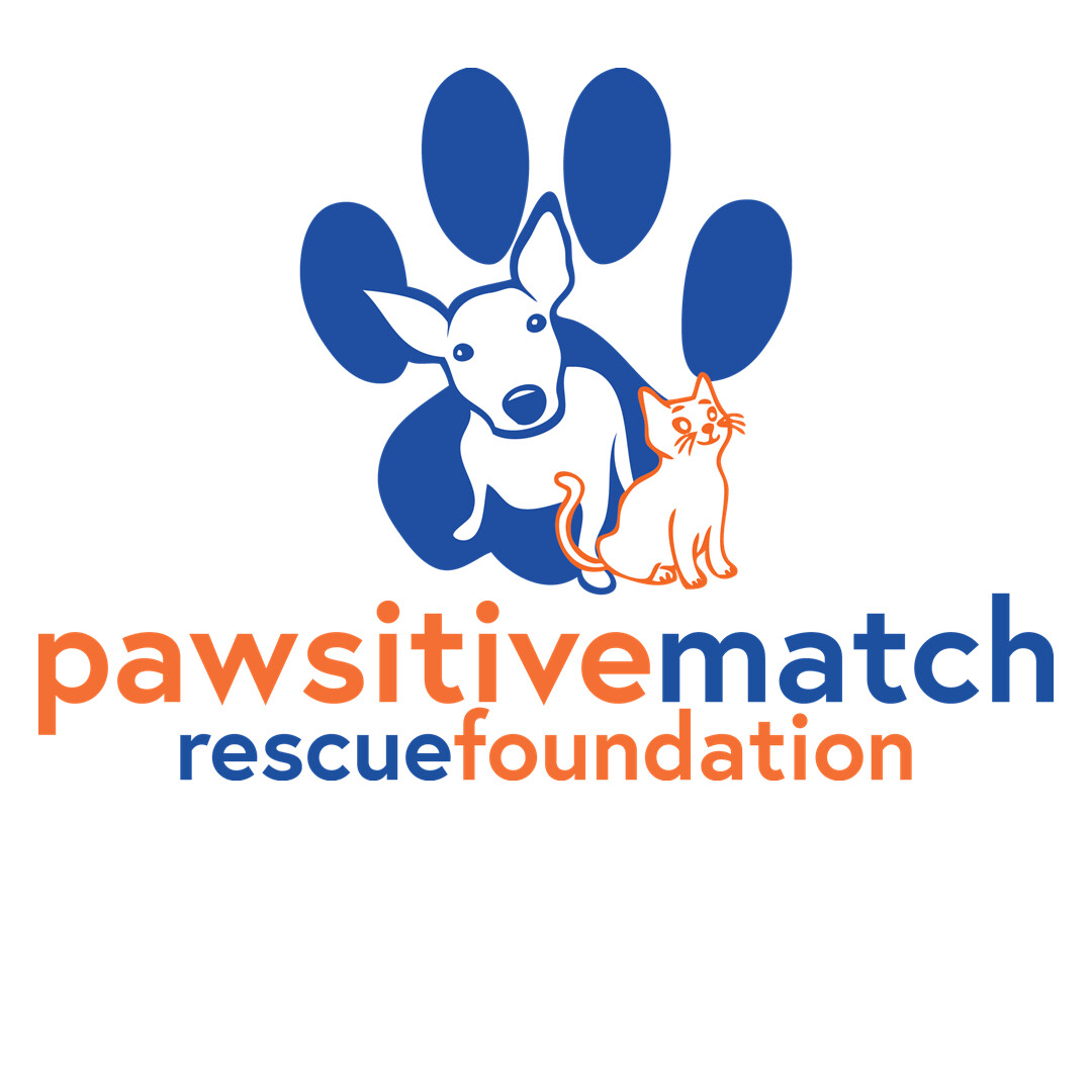 Pawsitive Match Rescue Foundation