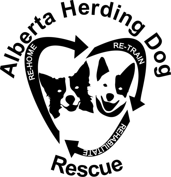 Pets for Adoption at AB Herding Dog Rescue, in Didsbury, AB | Petfinder