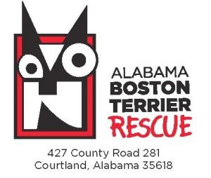 Alabama Boston Terrier Rescue