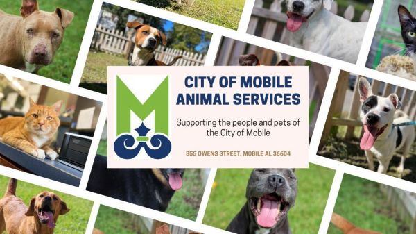 City of Mobile Animal Services