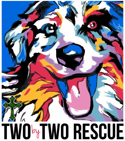 Two by Two Rescue