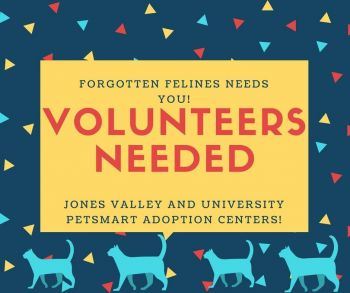 Volunteer!! info@ffhsv.org