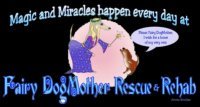 Fairy Dogmother Rescue, Inc.