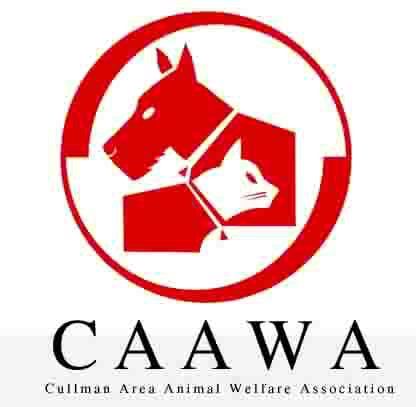 CAAWA