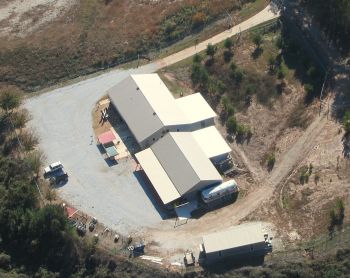 Pets For Adoption At Randolph County Animal Shelter In Wedowee Al Petfinder