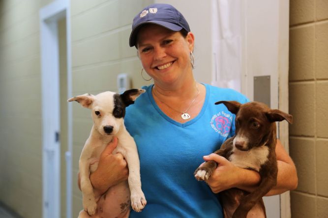 Dekalb County Animal Adoption Center