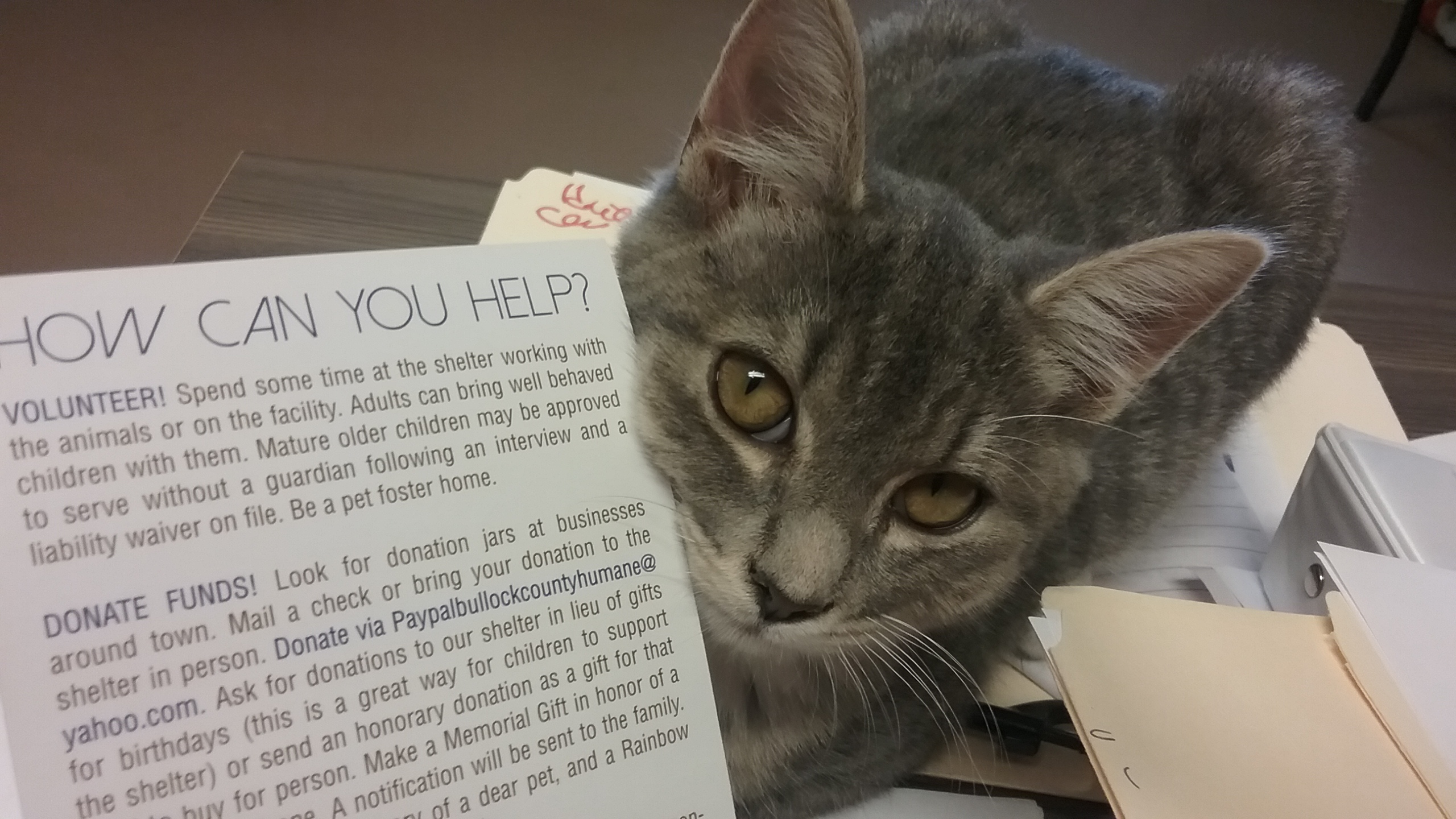 Bullock County Humane Society