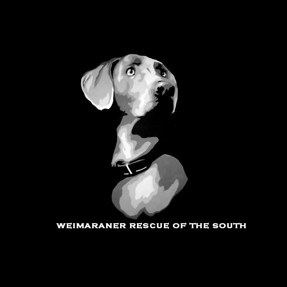 Weimaraner Rescue of the South