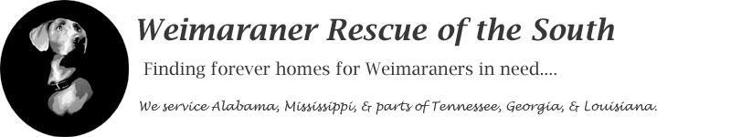 Weimaraner Rescue of the South