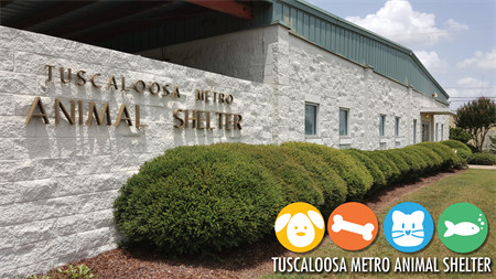Tuscaloosa Metro Animal Shelter