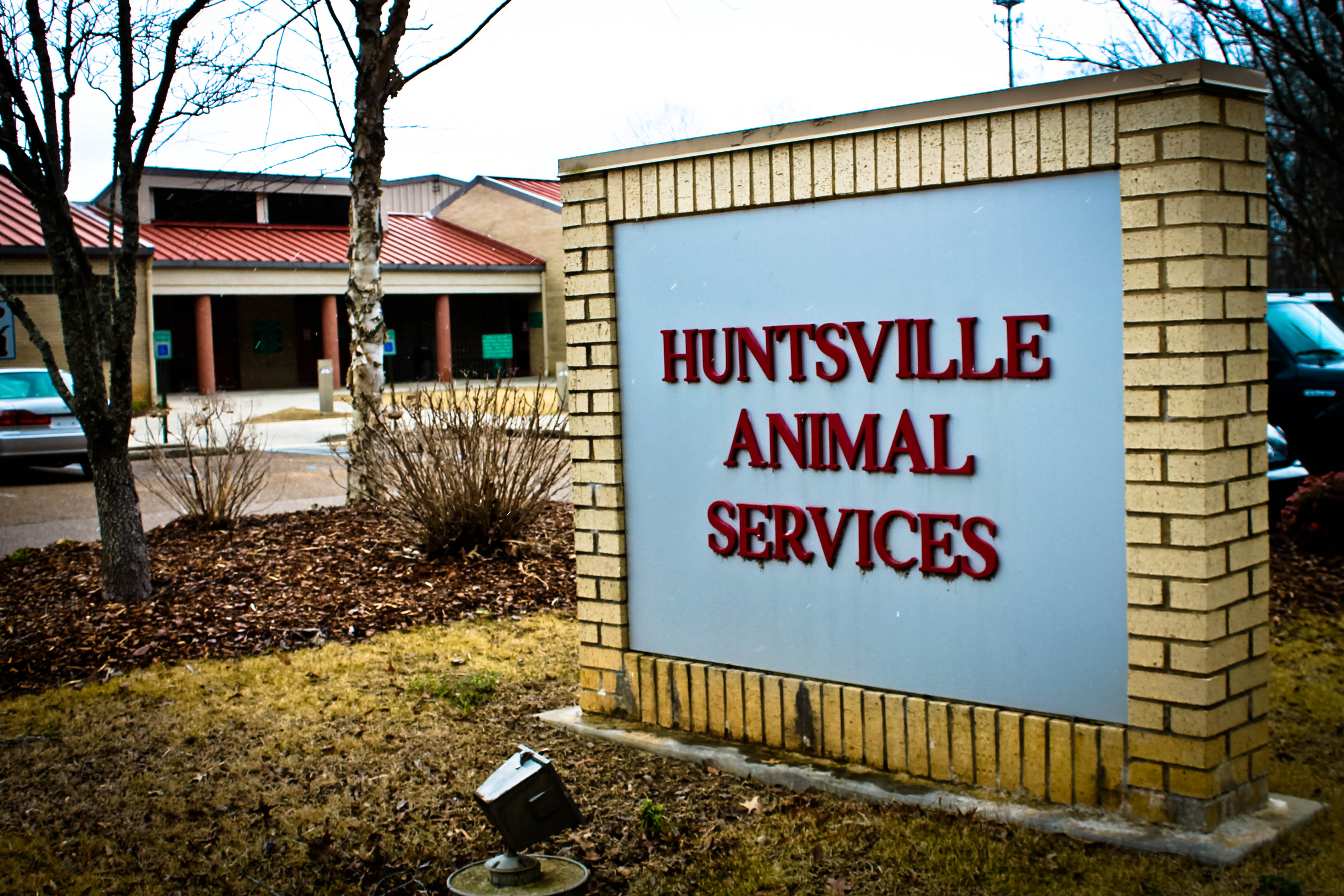 Pets for Adoption at Huntsville Animal Services, in Huntsville, AL |  Petfinder