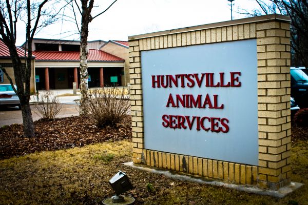 Huntsville Animal Services
