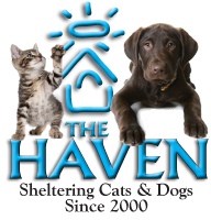 The Haven Logo 10x10