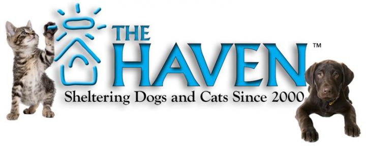 The Haven logo wide