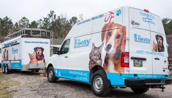 MARU and MARU, Jr. (Mobile Adoption Rescue Unit)