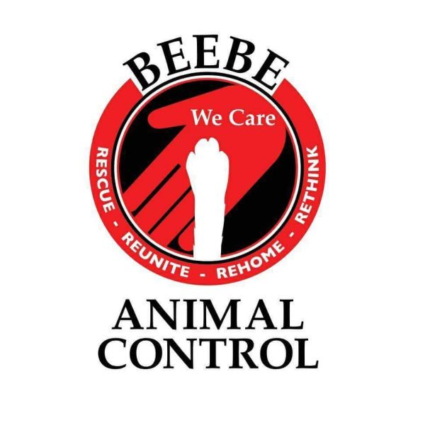 Beebe Animal Services