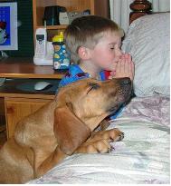 Arkansas Southern Dog Rescue