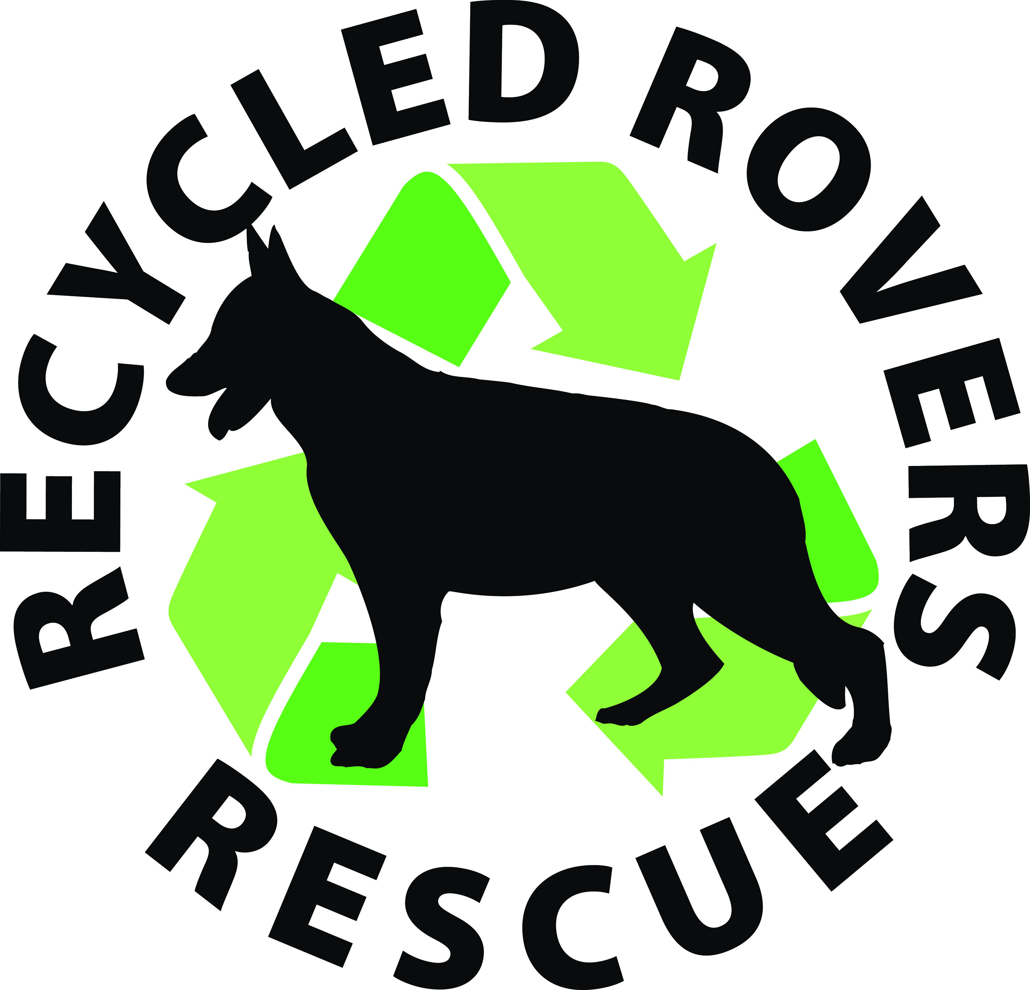 Recycled Rovers Rescue at Southwest Pet Hospital