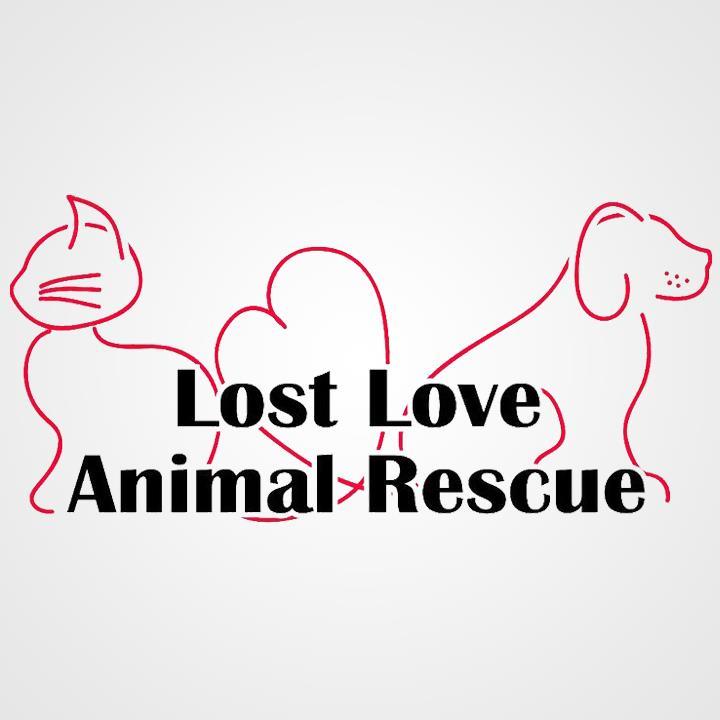 Pets for Adoption at Lost Love Animal Rescue, in Fayetteville, AR