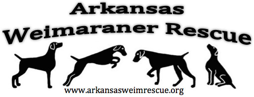 Arkansas Weimaraner Rescue