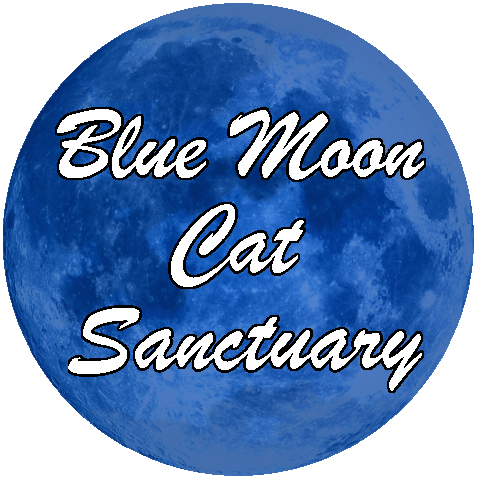 Blue Moon Cat Sanctuary